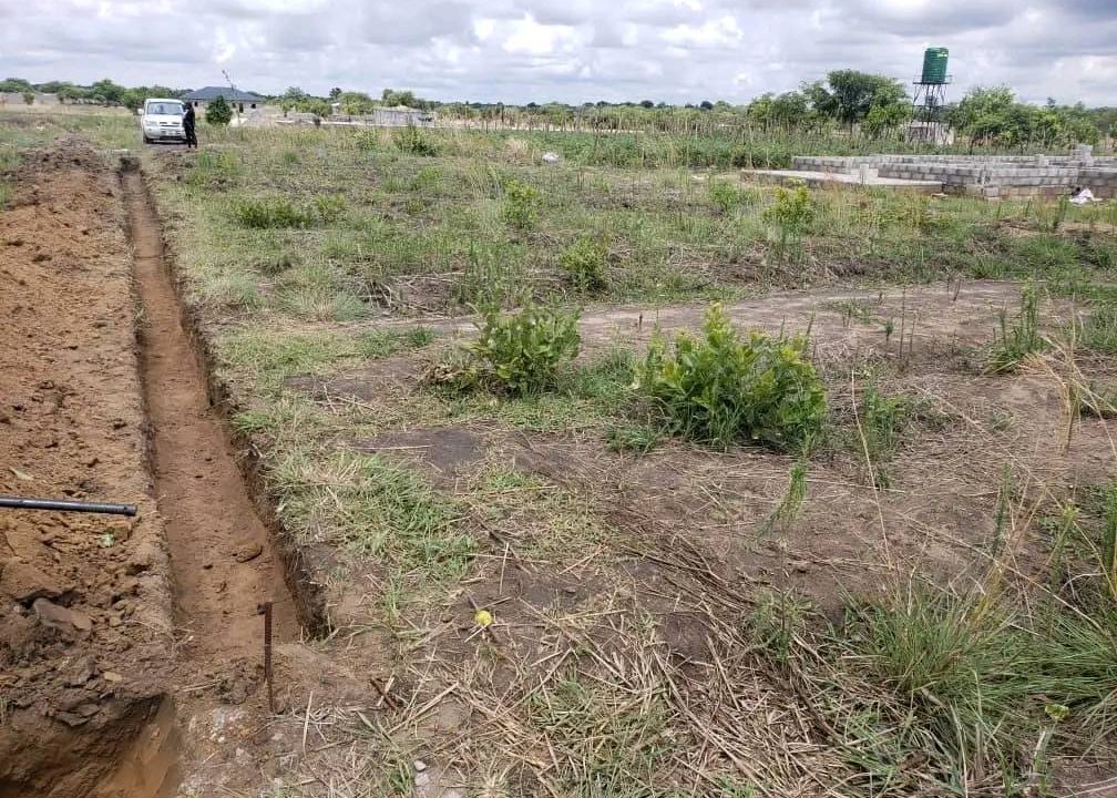land (2)